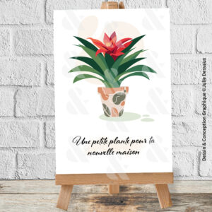 Carte Plante Nouvelle Maison