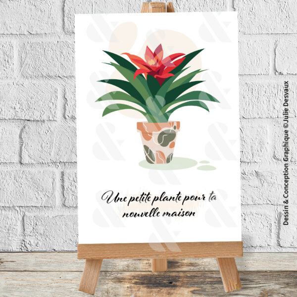 Carte Plante Nouvelle Maison